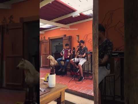vídeo