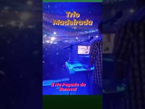 vídeo
