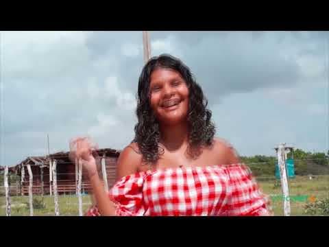 vídeo