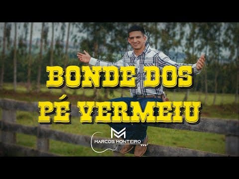 vídeo