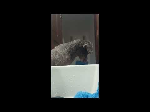 vídeo