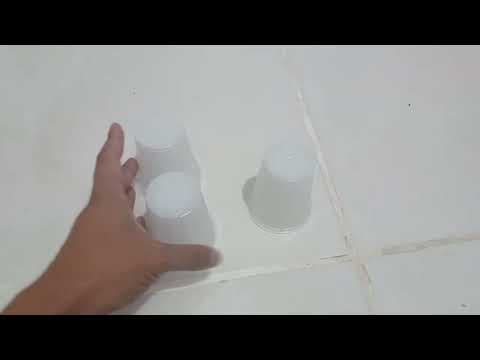 vídeo