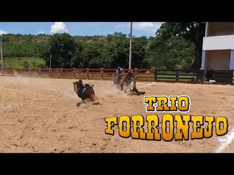 vídeo