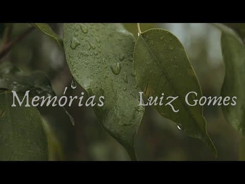 vídeo